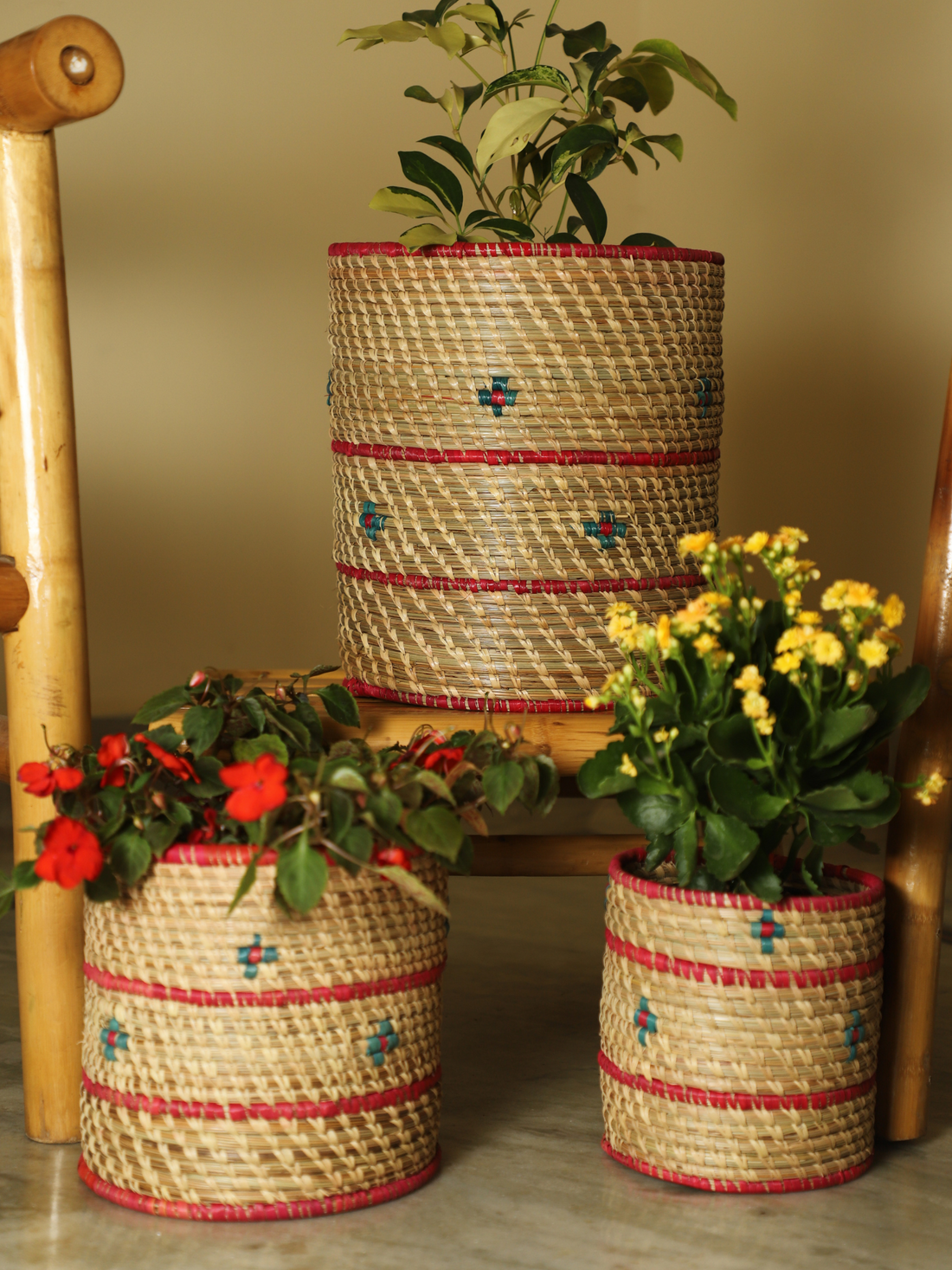 Kanshi & Palm Bin Red & Blue