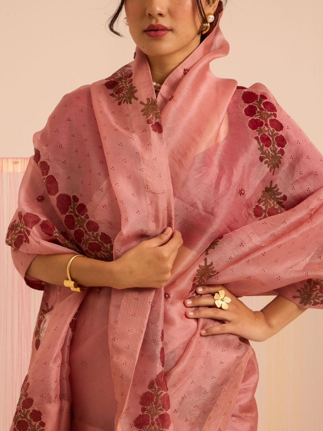 Zeba Chanderi Saree