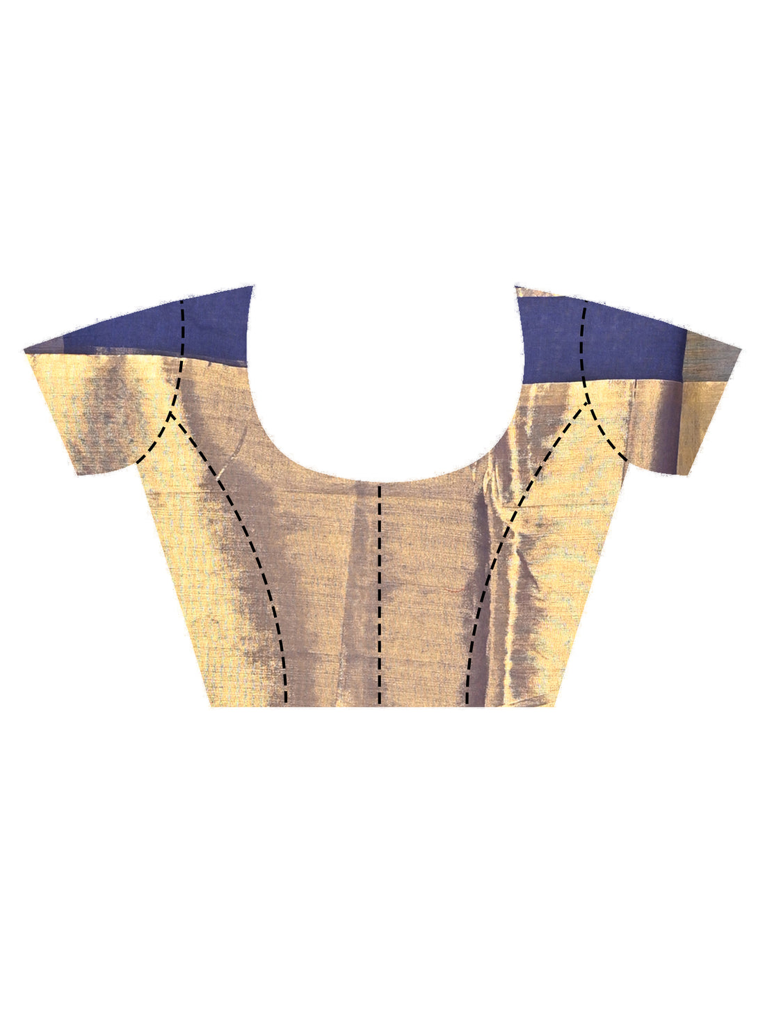 Navy Blue and Golden Tissue Cotton Handloom Saree with Contrast Border